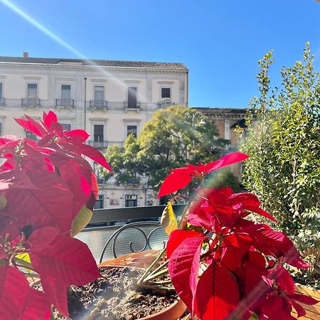 Cesare'S Home Catania Luaran gambar