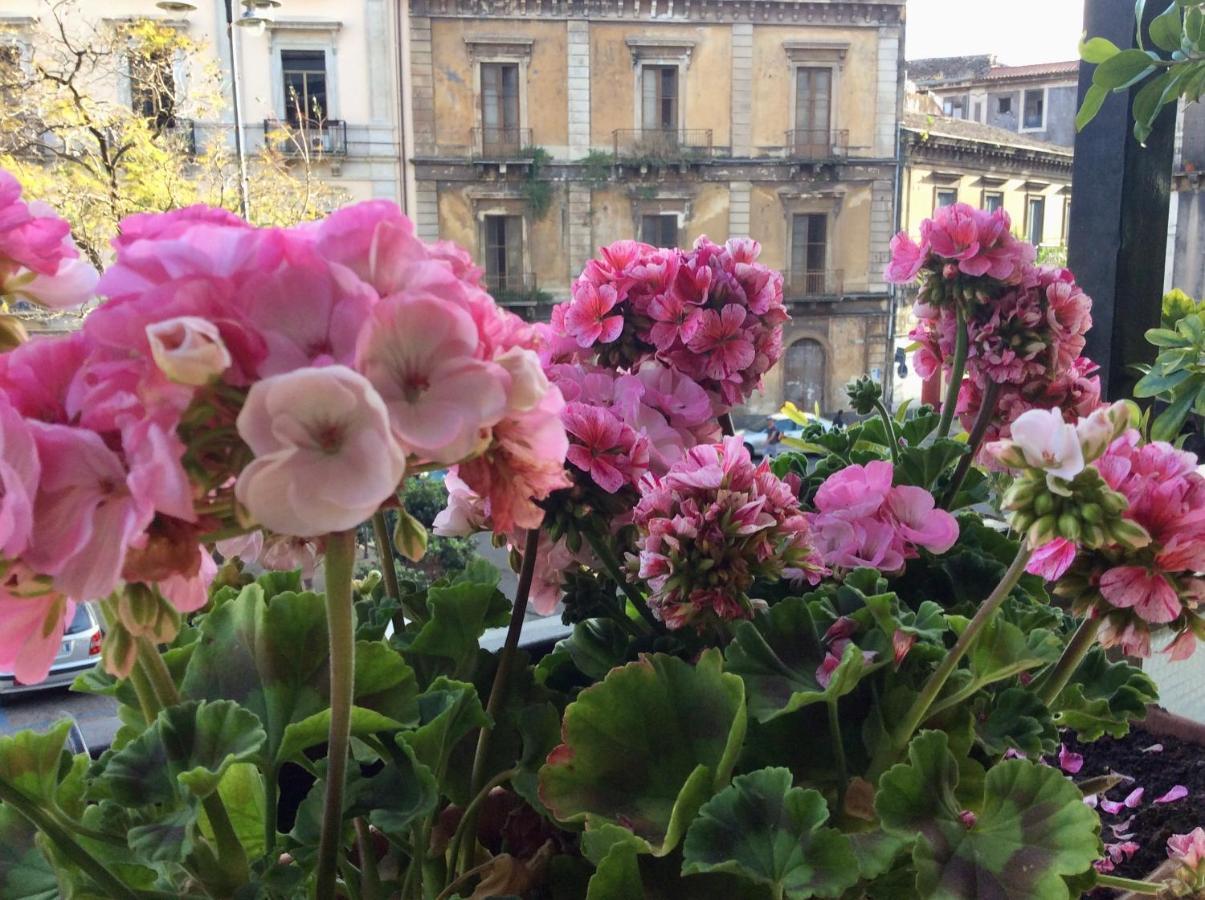 Cesare'S Home Catania Luaran gambar