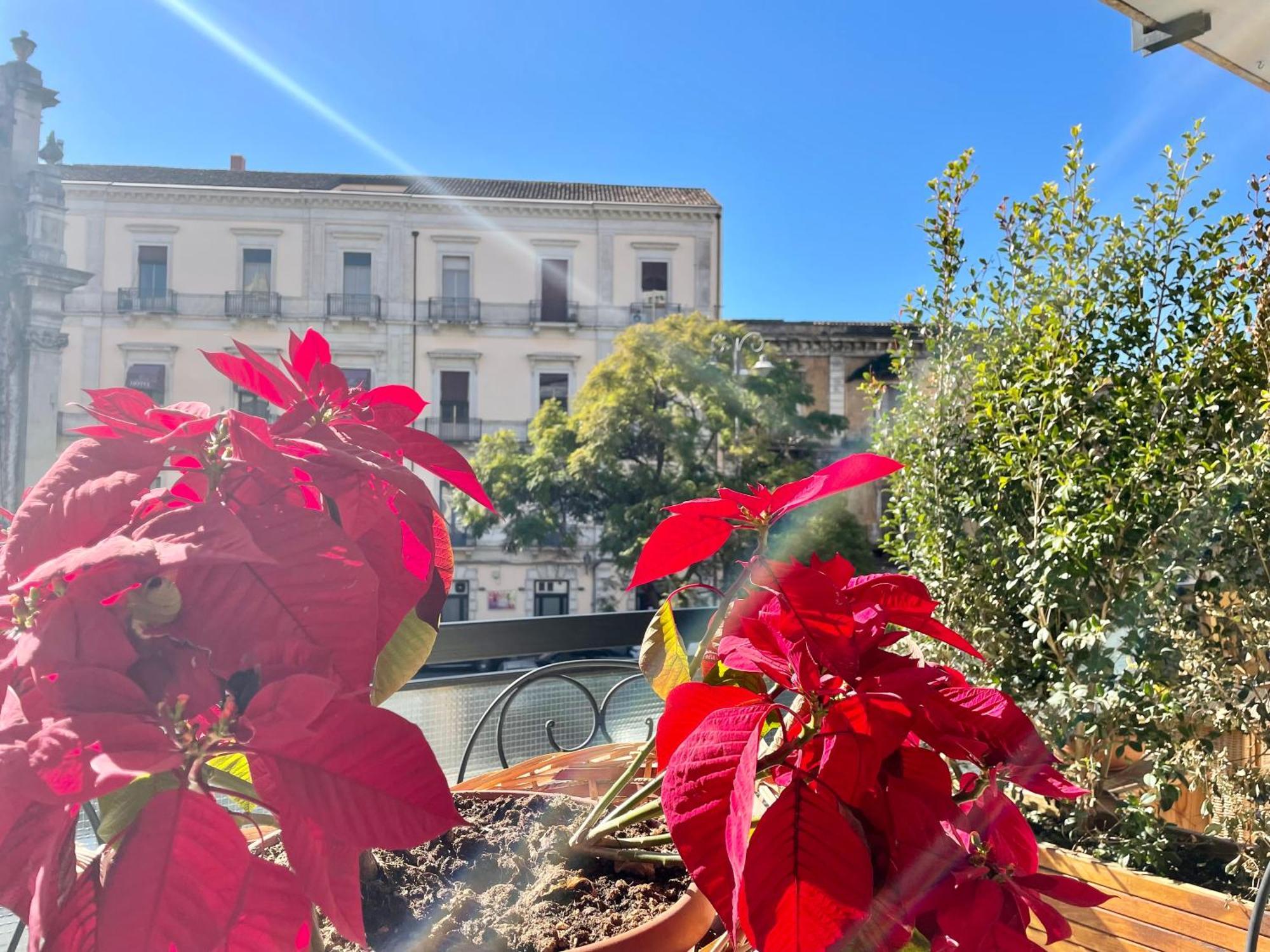 Cesare'S Home Catania Luaran gambar