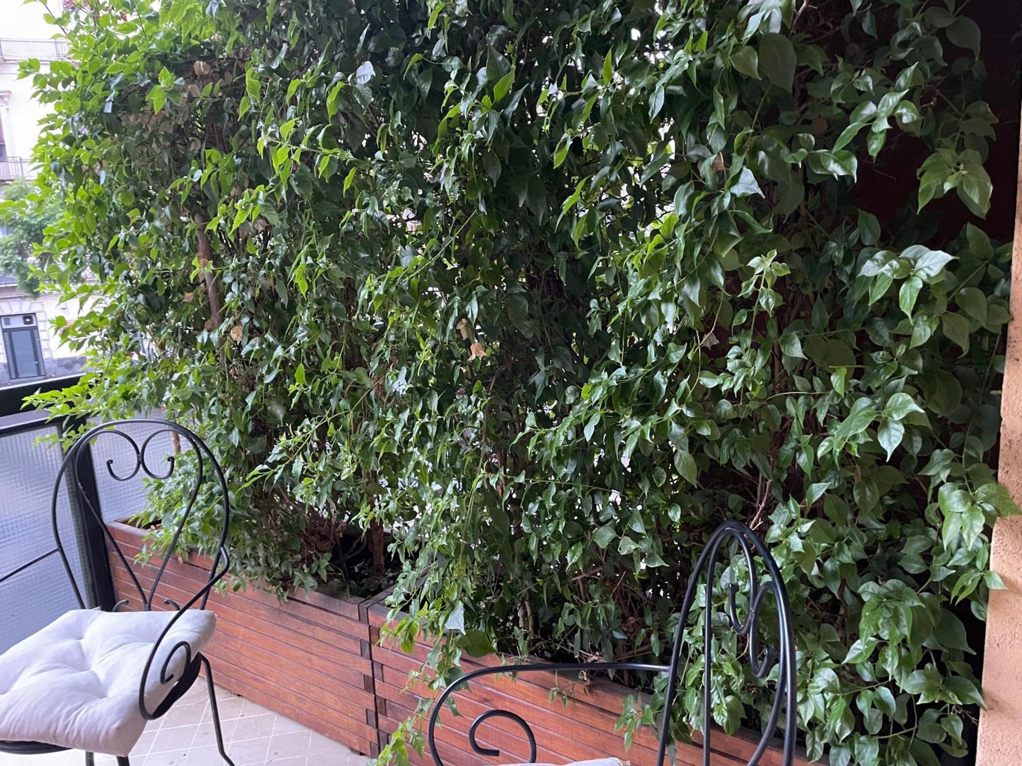 Cesare'S Home Catania Luaran gambar